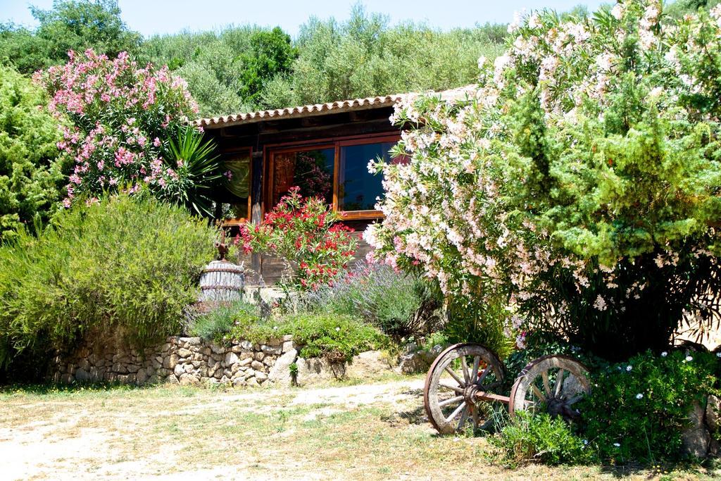 Villa Agriturismo Sardo Campavaglio Exterior foto