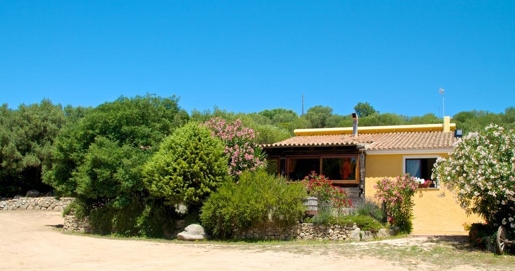 Villa Agriturismo Sardo Campavaglio Exterior foto