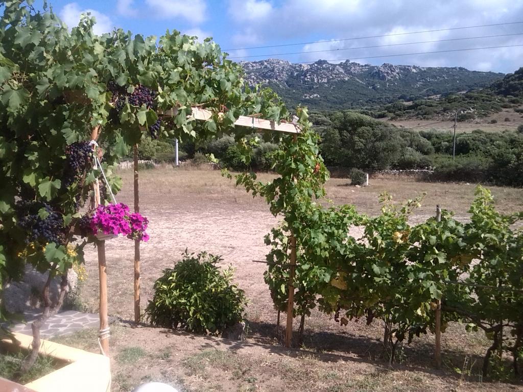 Villa Agriturismo Sardo Campavaglio Exterior foto