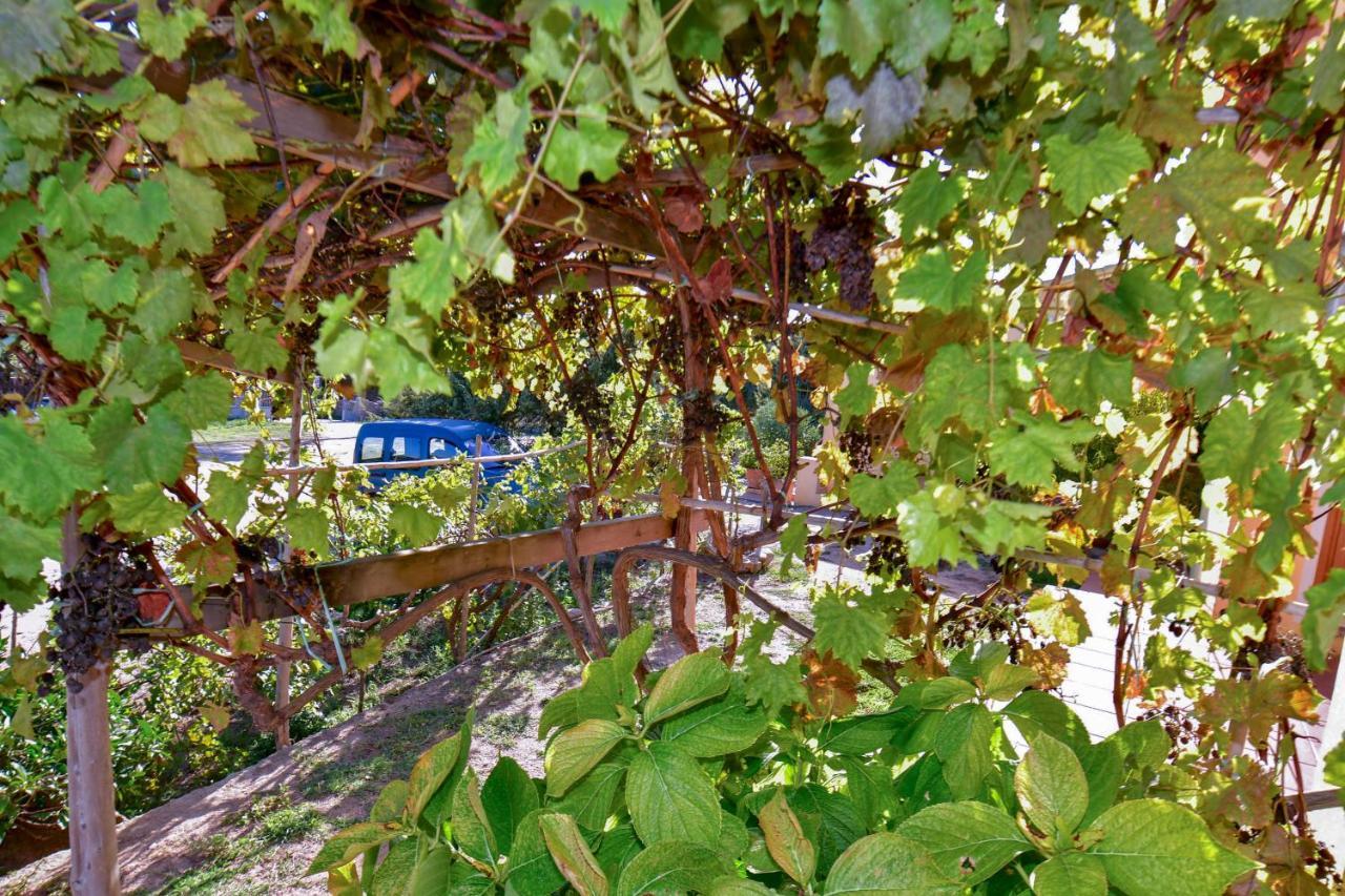 Villa Agriturismo Sardo Campavaglio Exterior foto