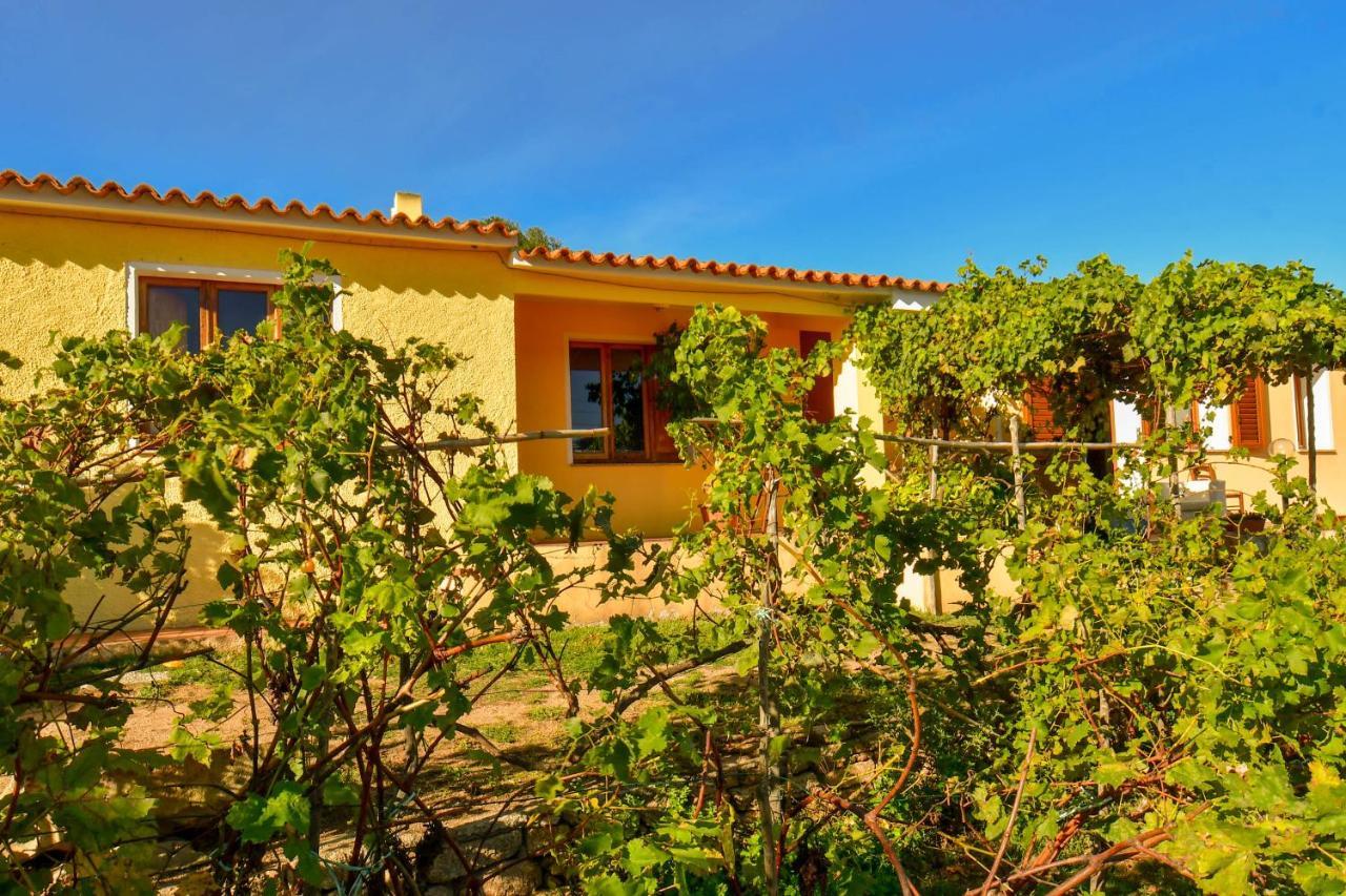 Villa Agriturismo Sardo Campavaglio Exterior foto