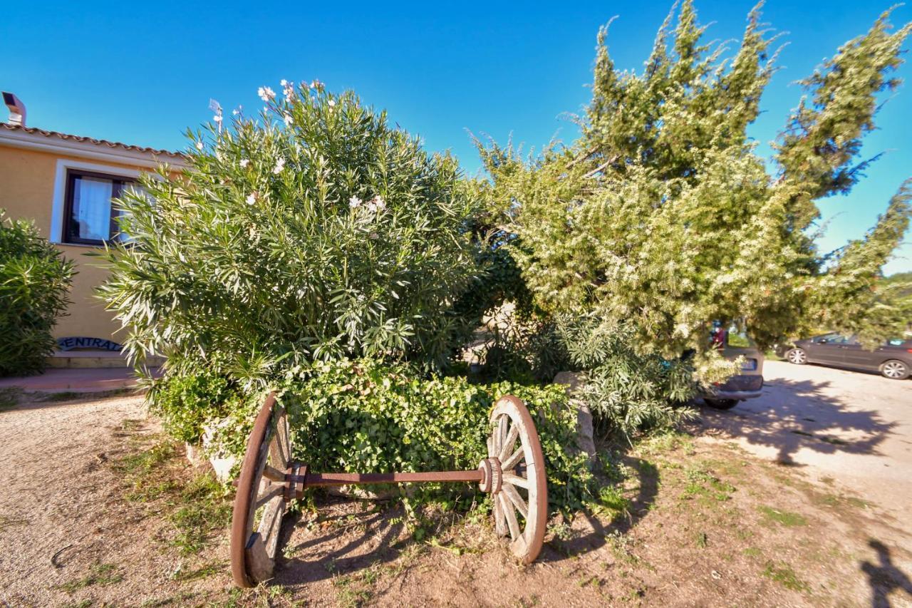Villa Agriturismo Sardo Campavaglio Exterior foto